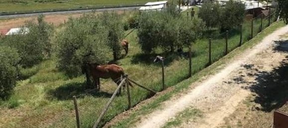 Terreno en Collesalvetti, Italy 10000 m² No. 207676 3