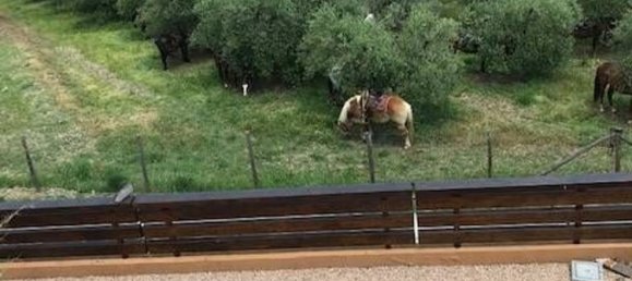 Terreno en Collesalvetti, Italy 10000 m² No. 207676 4