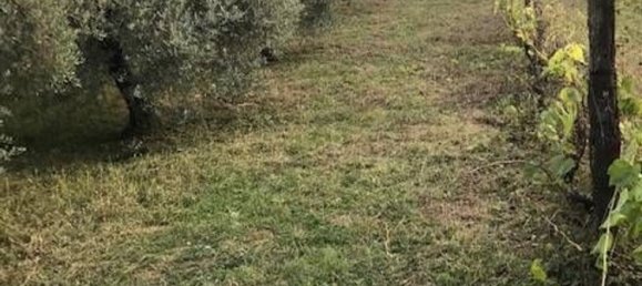 Terreno en Collesalvetti, Italy 10000 m² No. 207676 7