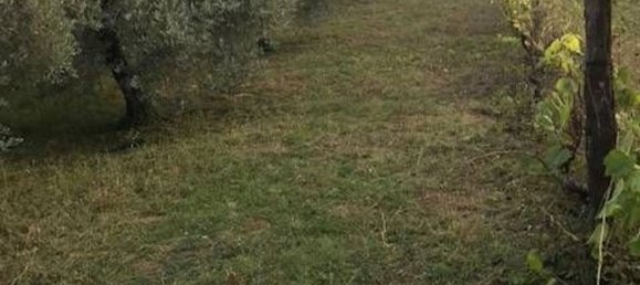 Terreno en Collesalvetti, Italy 10000 m² No. 207676 8