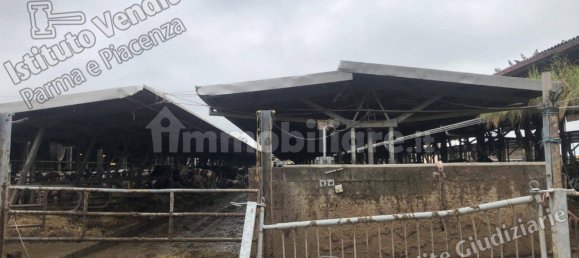 5 rooms House in Montechiarugolo, Italy No. 14512 8