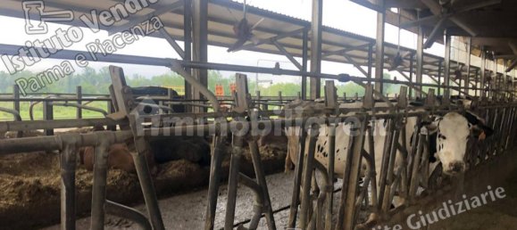 5 rooms House in Montechiarugolo, Italy No. 14512 7