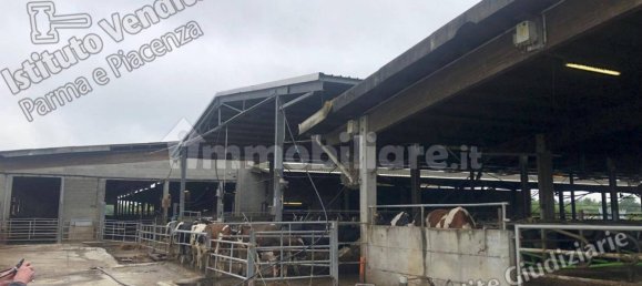 5 rooms House in Montechiarugolo, Italy No. 14512 14