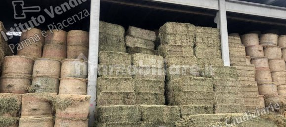 5 rooms House in Montechiarugolo, Italy No. 14512 12