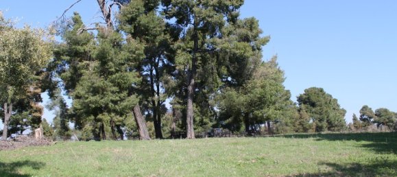 6400m² Hotel in Chalkidiki, Greece No. 6400 7