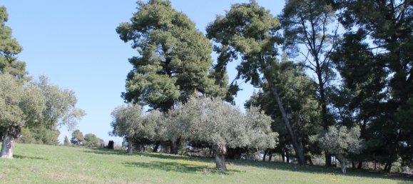 6400m² Hotel in Chalkidiki, Greece No. 6400 5