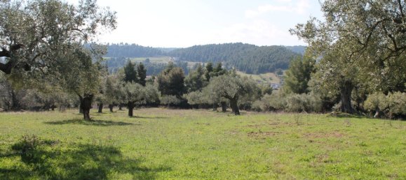 6400m² Hotel in Chalkidiki, Greece No. 6400 2