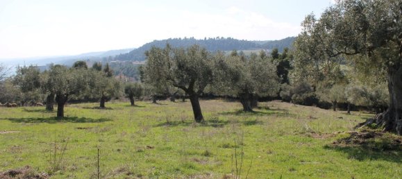 6400m² Hotel in Chalkidiki, Greece No. 6400 3