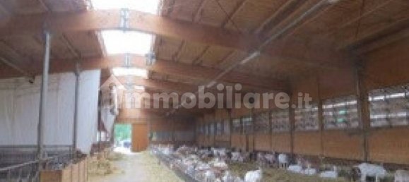 5غرفة منزل في Cene, Italy رقم 285773 4