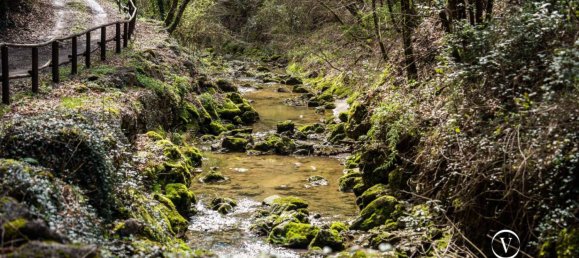 Casa T8 em San Gimignano, Italy N.º 193181 5