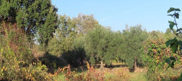 Земельный участок в Алпедринья, Португалия № 82799 6