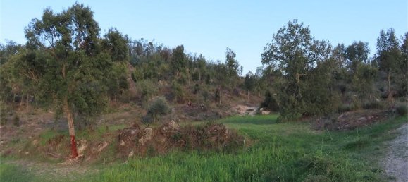 Земельный участок в Алпедринья, Португалия № 82799 3