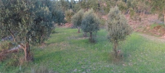 Земельный участок в Алпедринья, Португалия № 82799 2
