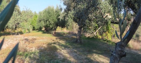 Земельный участок в Алпедринья, Португалия № 82799 10