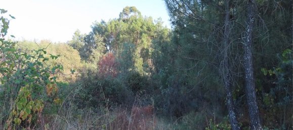 Земельный участок в Алпедринья, Португалия № 82799 5