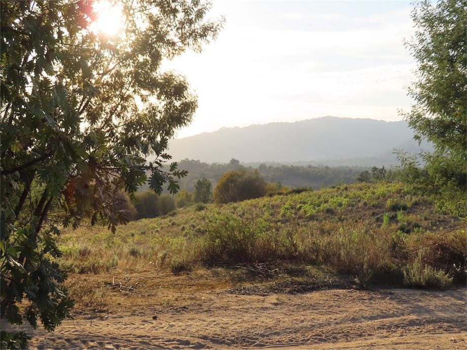 Земельный участок в Алпедринья, Португалия № 82799