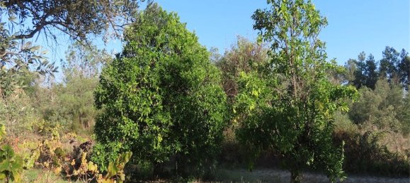 Земельный участок в Алпедринья, Португалия № 82799 14