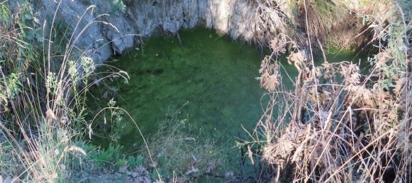 Земельный участок в Алпедринья, Португалия № 82799 15