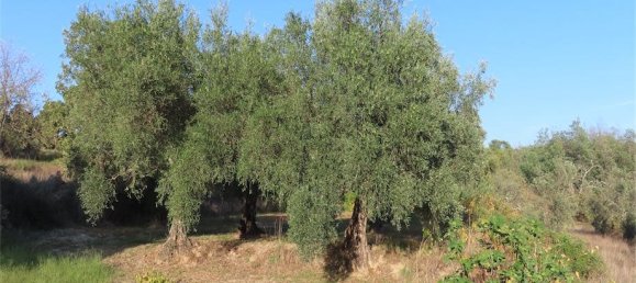 Земельный участок в Алпедринья, Португалия № 82799 8