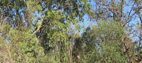 Земельный участок в Алпедринья, Португалия № 82799 17