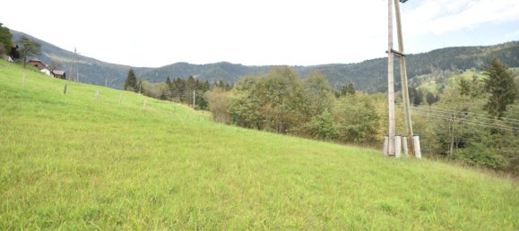 Grundstück in Arriach, Austria 2040m², Nr. 132088 7