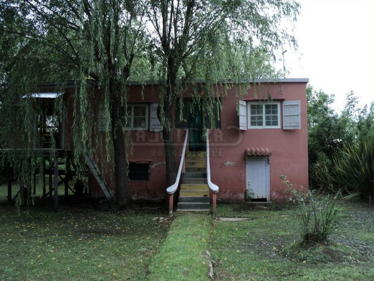 Studio in Tigre, Argentina No. 1829