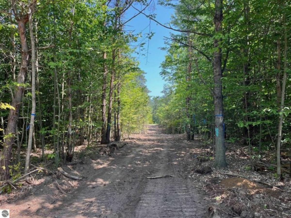  Land in Maple City, USA No. 527707