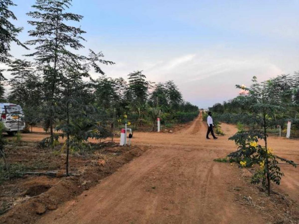 Terreno em Hyderabad, India N.º 37286