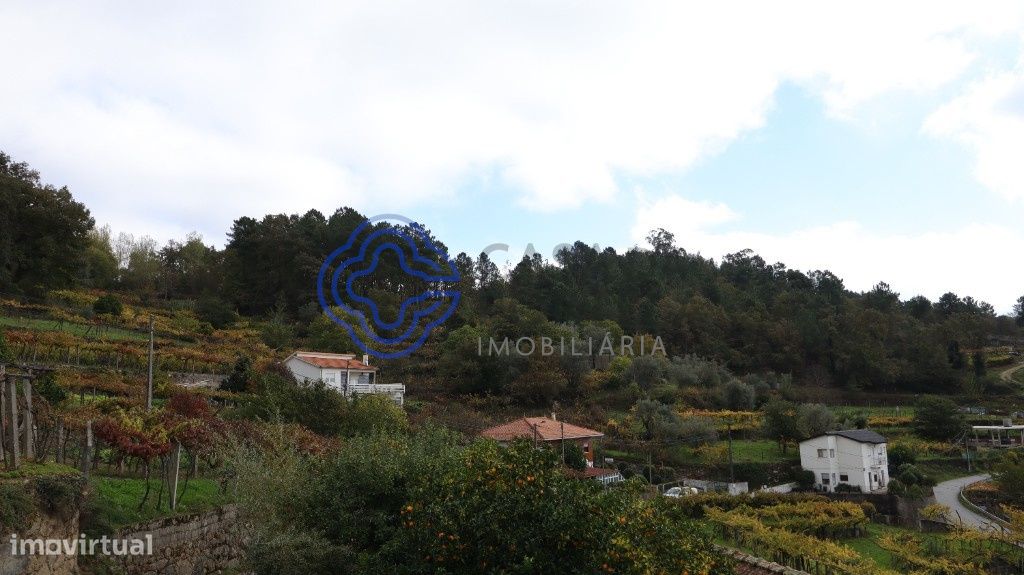 Grundstück in Santa Marinha do Zezere, Portugal 38890m², Nr. 36214