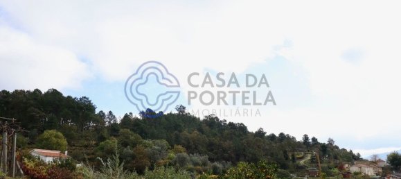 Grundstück in Santa Marinha do Zezere, Portugal 38890m², Nr. 36214 4