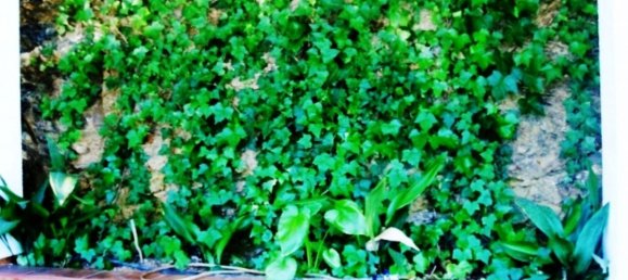 Земельный участок 520м² в Михас, Испания № 75221 35