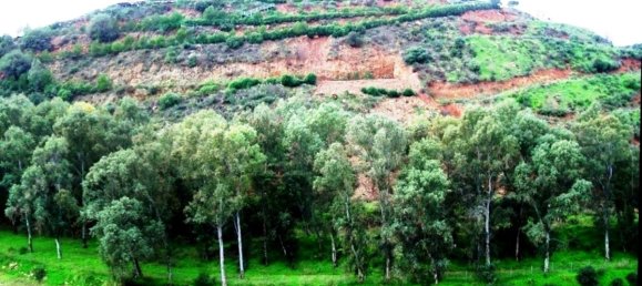 Земельный участок 520м² в Михас, Испания № 75221 42