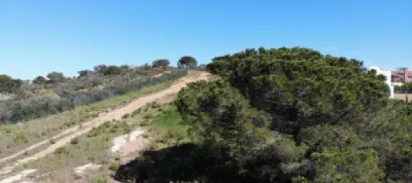 582m² Land in Cadiz, Spain No. 18287 20