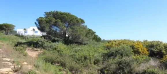 582m² Land in Cadiz, Spain No. 18287 18