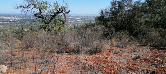 1200m² Land in Faro, Portugal No. 63571 4