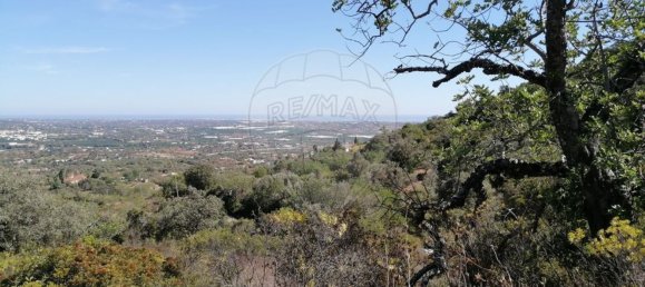 1200m² Land in Faro, Portugal No. 63571 6