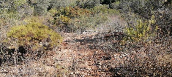 1200m² Land in Faro, Portugal No. 63571 5