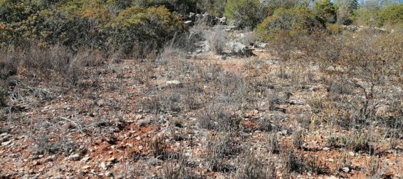 1200m² Land in Faro, Portugal No. 63571 11