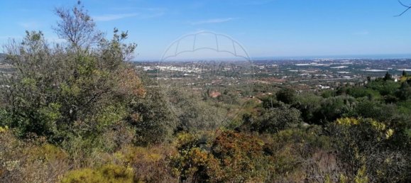1200m² Land in Faro, Portugal No. 63571 7