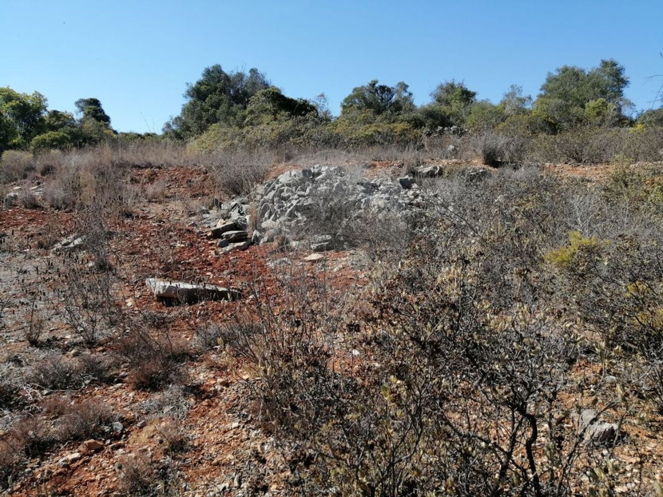 1200m² Land in Faro, Portugal No. 63571