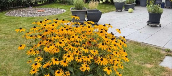 3 bedrooms Townhouse in Lippe, Germany No. 350227 11