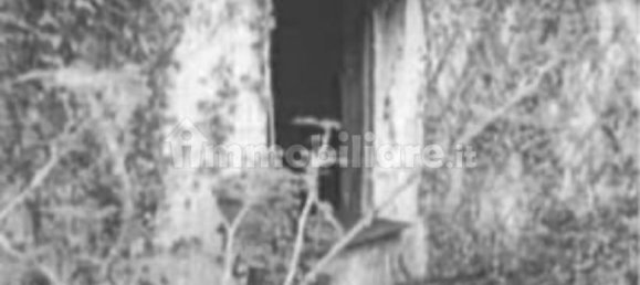 5 bedrooms Apartment in Monserrato, Italy No. 346589 7