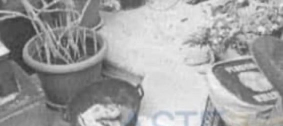 5 bedrooms Apartment in Monserrato, Italy No. 346589 8