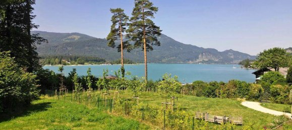 Land in Salzburg-Umgebung, Austria No. 133787 3