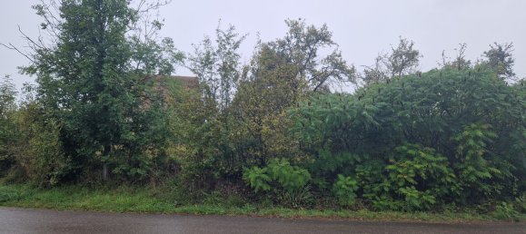 Земельный участок в Бальброн, Франция № 152509 4