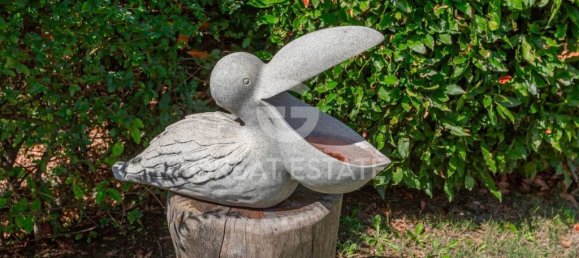 1 bedroom Villa in Passignano sul Trasimeno, Italy No. 164290 28