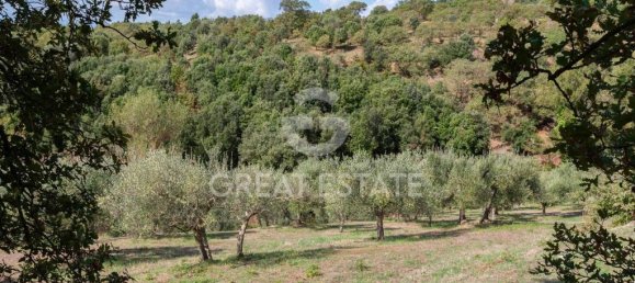 1 bedroom Villa in Passignano sul Trasimeno, Italy No. 164290 35