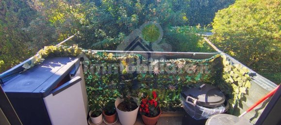 2 chambres Appartement à Sant'Angelo Lodigiano, Italy No. 307954 34