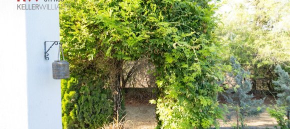 Villa de 4 dormitorios en Mosfiloti, Cyprus No. 26061 11