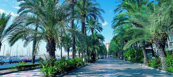 3 bedrooms Villa in San Juan, Spain No. 2655 24